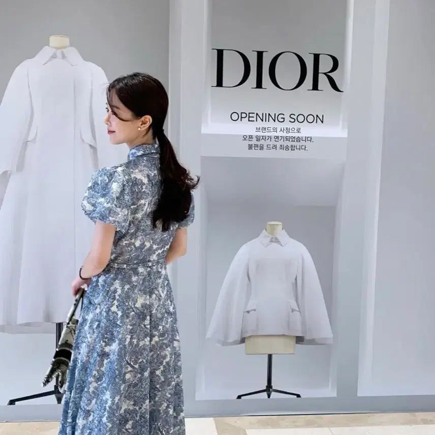 [BUNJANG] Blue Ink Painting Dress / 바이씨니 제작 수묵화원피스 블루