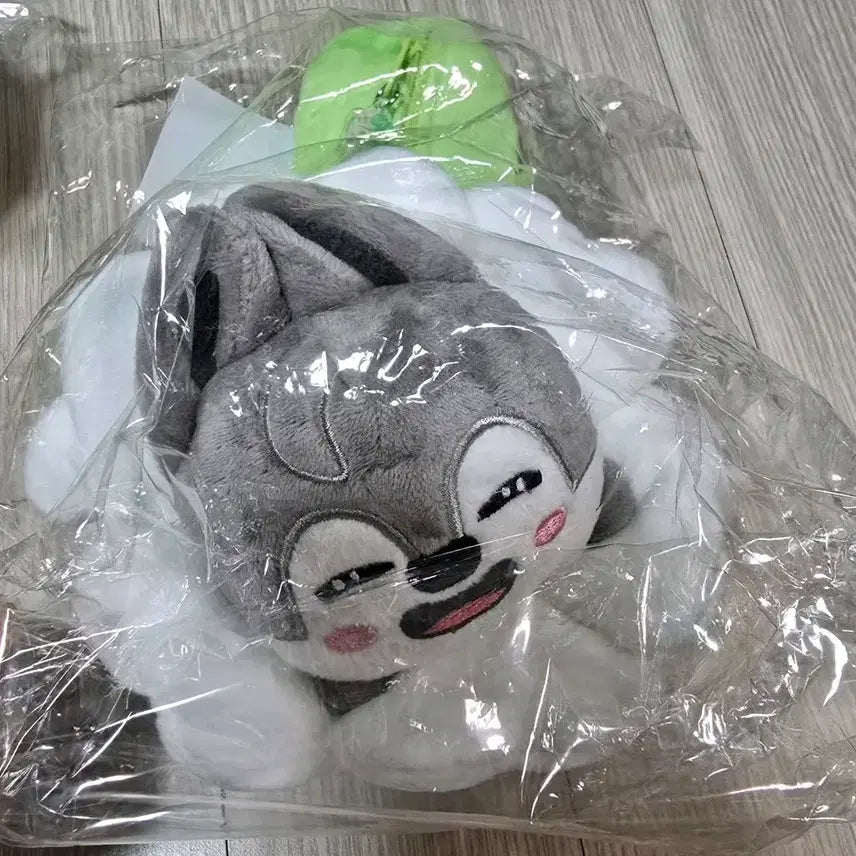 스키즈 스키주 일본 재팬 팝업 스트레이키즈 울프찬 양도 펜필통 꽃송이