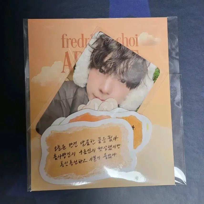 [BUNJANG] Choi Lipwoo Exhibition Sticker Photocard Set / 최립우 립우 전시회 스티커 포카 세트 스티커팩