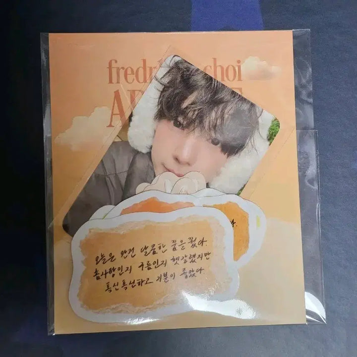 [BUNJANG] Choi Lipwoo Exhibition Sticker Photocard Set / 최립우 립우 전시회 스티커 포카 세트 스티커팩