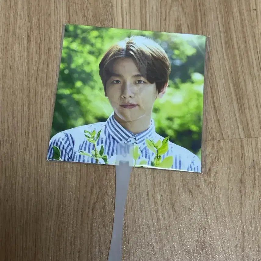 [BUNJANG] EXO Baekhyun Nature Fan / 엑소 백현 네이처 부채