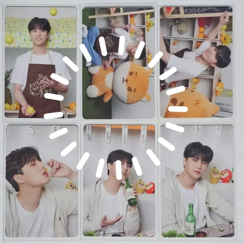 데이식스 이오데 트레카 영케이 포카 6장