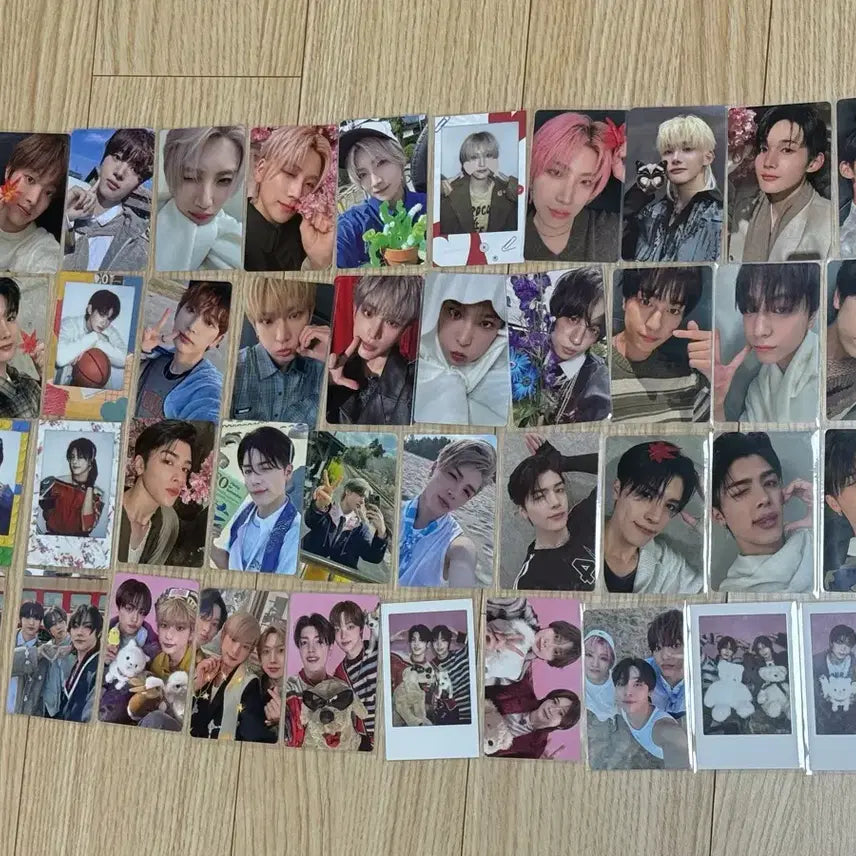 앤팀 포카 포토카드 양도