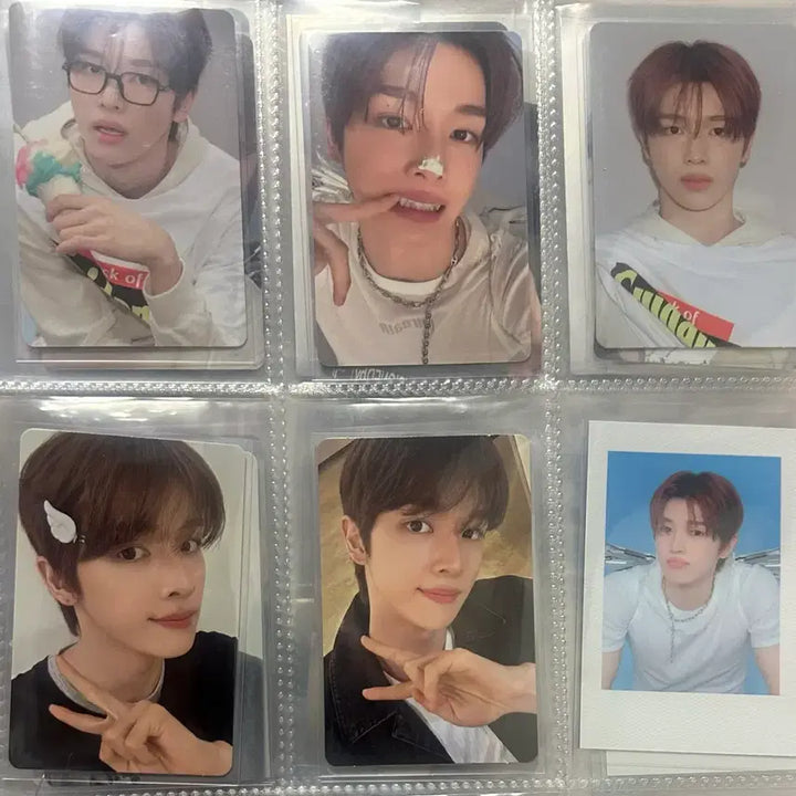 뮤앤드 특전)라이즈 성찬 26시그구성품 분철 시즌그리팅 정성찬포카 폴라