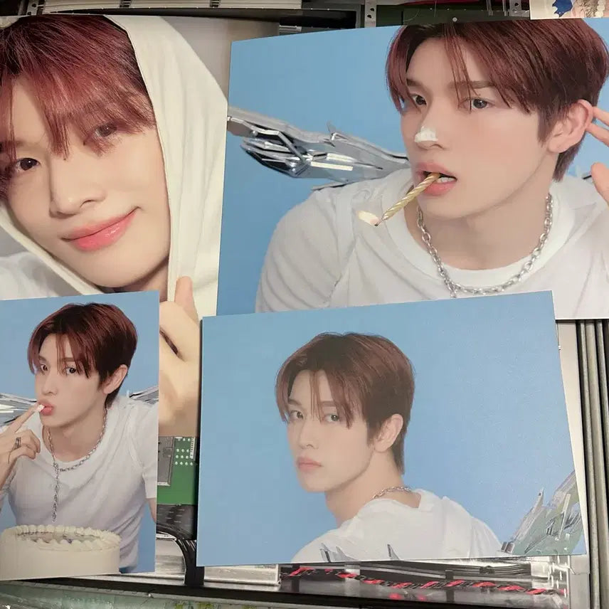 뮤앤드 특전)라이즈 성찬 26시그구성품 분철 시즌그리팅 정성찬포카 폴라