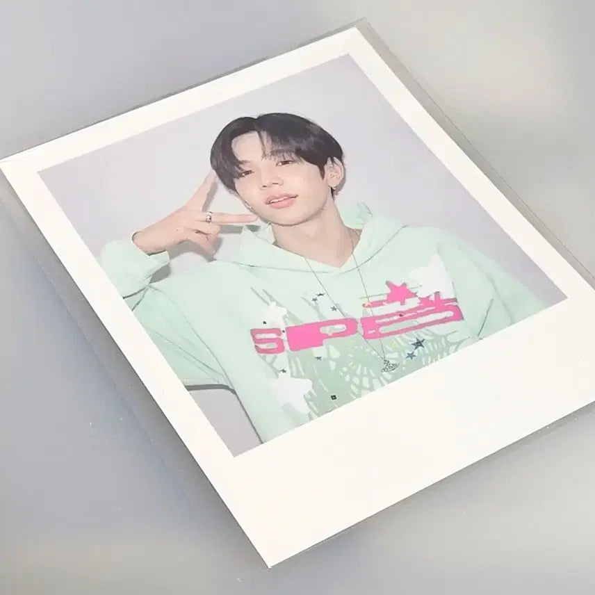 라이즈 2026 시그 쇼타로 폴라 양도