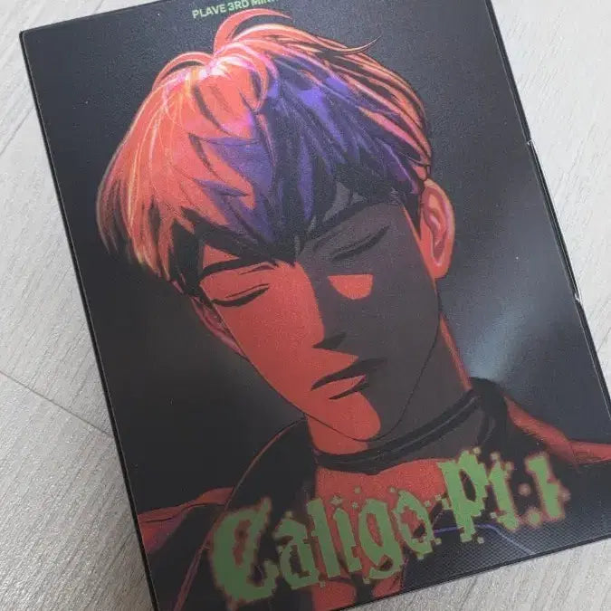 플레이브 하민 칼리고 앨범양도