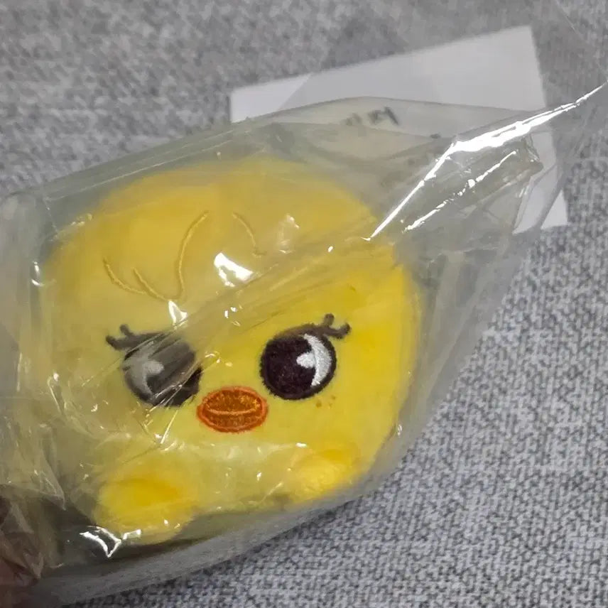 스트레이키즈 스키즈 뽁아리 백참 돔투어 필릭스 굿즈 skz felix