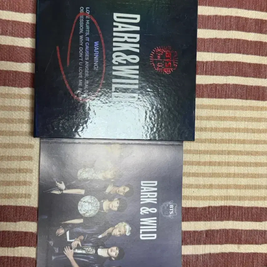 방탄소년단 Dark&Wild 앨범
