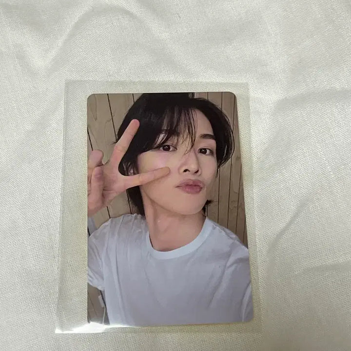 라이즈 성찬 오디세이 포카 팝니다