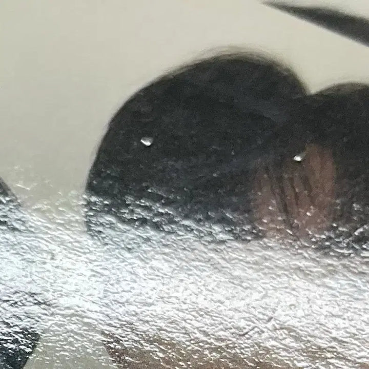 데이식스 포에버 앨범 영케이 풀셋