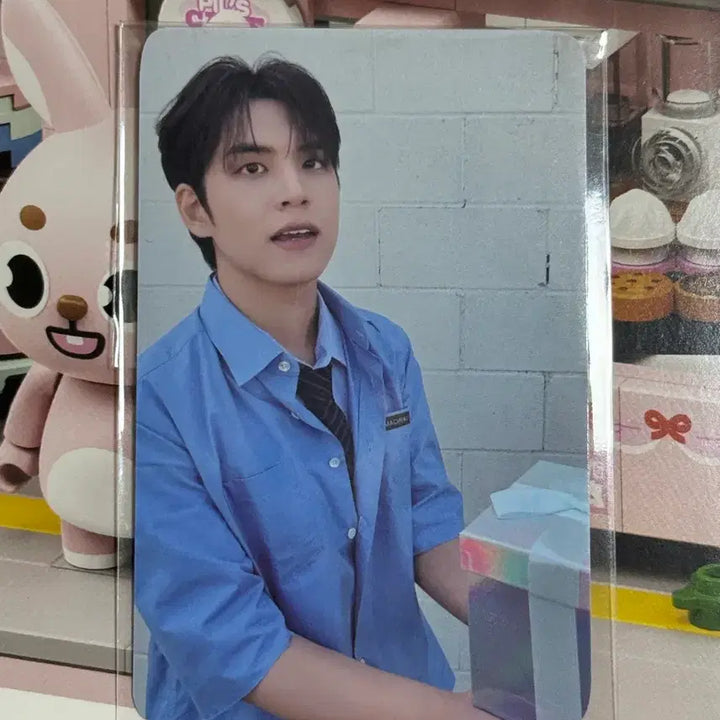 포카 포함 DENIMALZ BRICK SET pil 데니멀즈 브릭 원필