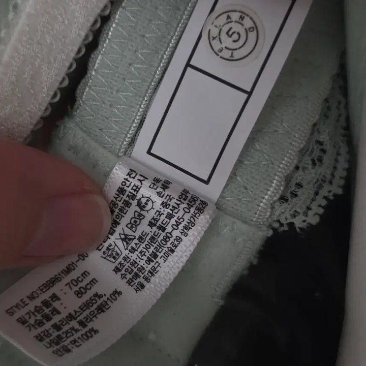 [BUNJANG] EBLIN Mint Lace Bra (70A) x 2 / EBLIN 에블린 연민트 레이스 브라 70A(70-80) x2벌 가격