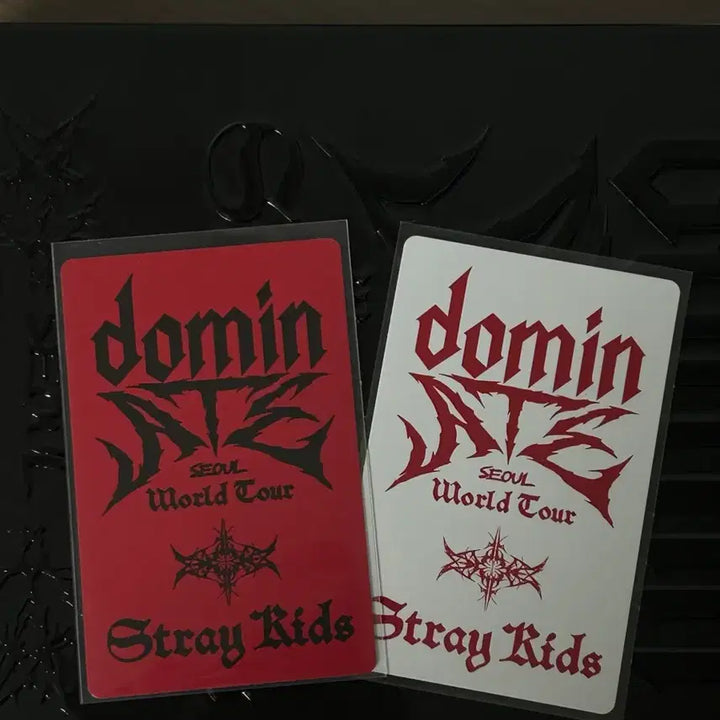 스키즈 리노 포카 dvd 콘서트 알라딘 초도한정특전 스키주리빗미공포