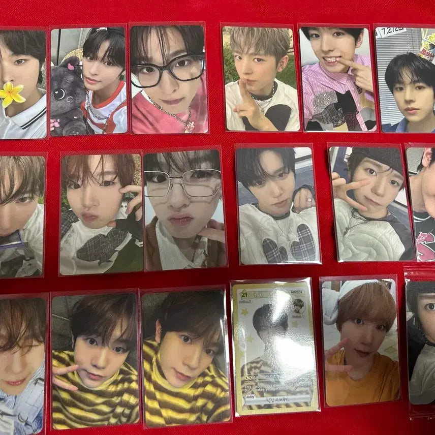 엔시티위시 포카 일괄