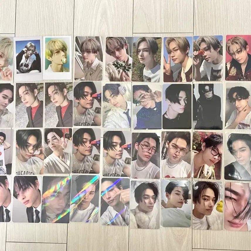 엔하이픈 니키 포카 일괄