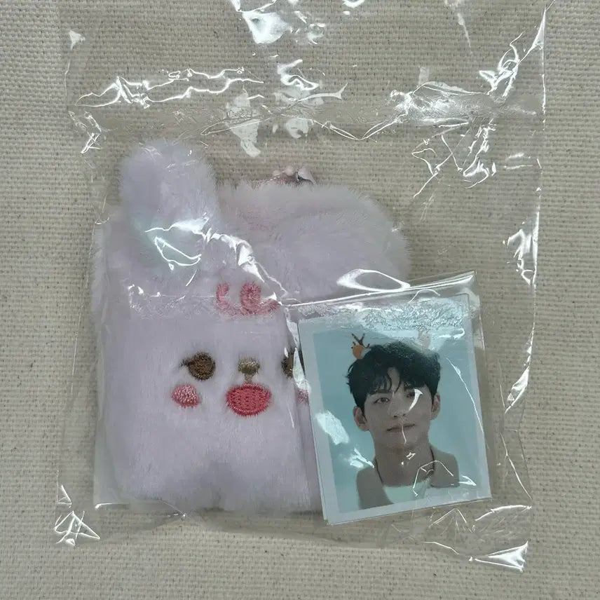 [BUNJANG] Day6 Wonpil ID Photocard Holder / 데이식스 쁘띠멀즈 ID 포토 홀더 원필 (단순개봉)