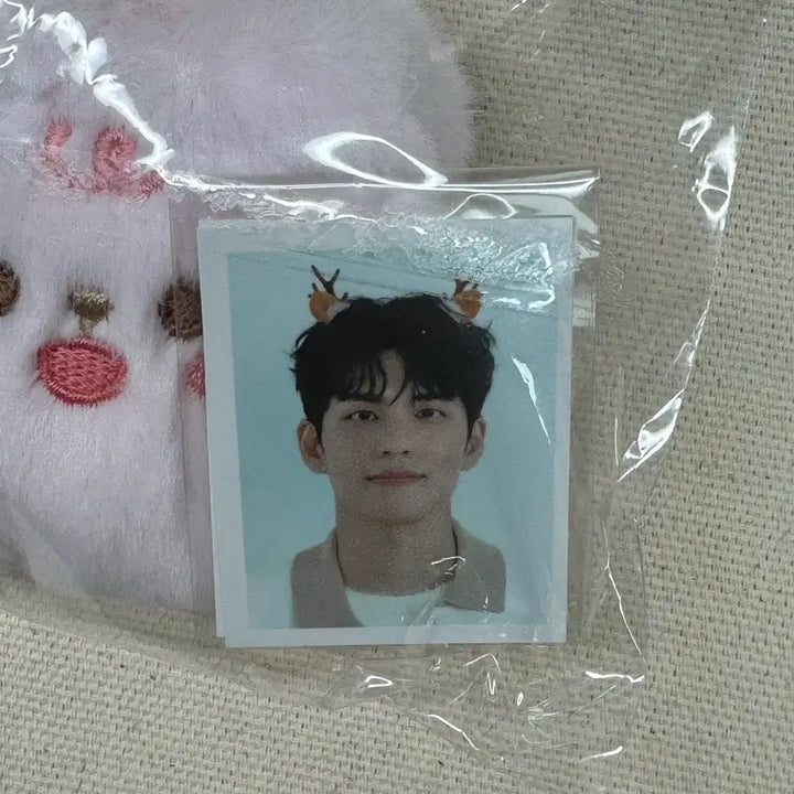 [BUNJANG] Day6 Wonpil ID Photocard Holder / 데이식스 쁘띠멀즈 ID 포토 홀더 원필 (단순개봉)