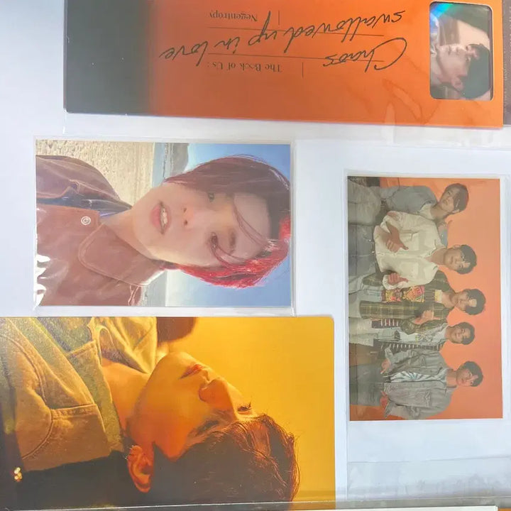 데이식스 네겐트로피 풀구성