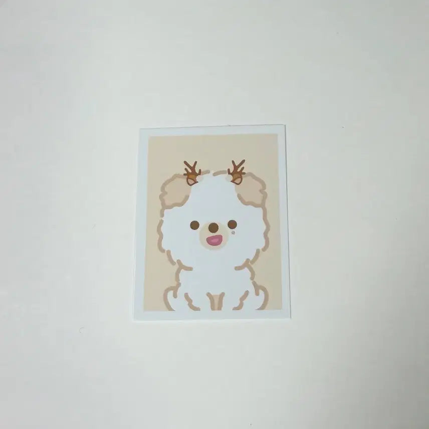 데이식스 클콘 쁘멀 돈 증사 ID포토홀더 돈 증명사진