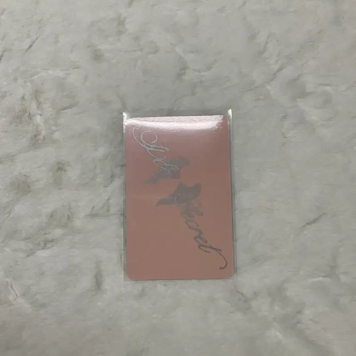 아이브 SECRET LOVED IVE ver. 레이 엘포