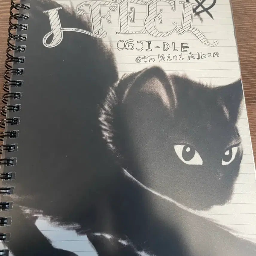 (여자)아이들 I FEEL 앨범 cat.ver