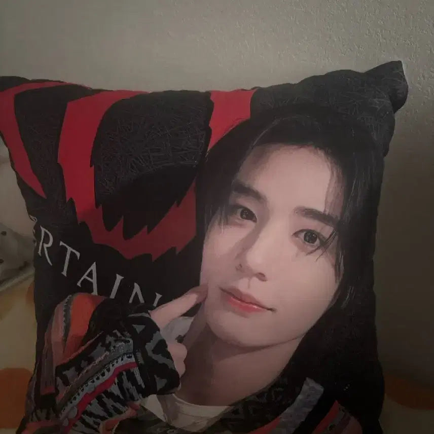 보이넥스트도어 이한 쿠션 ㅋㅎㅋㅎㅎㅋ