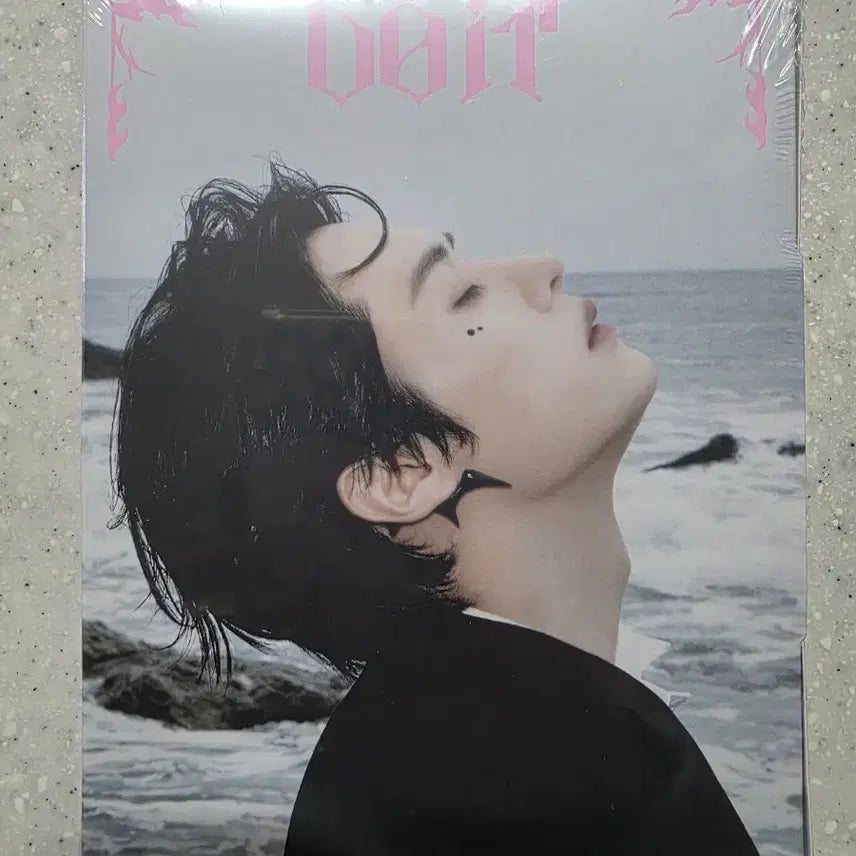 (새상품 미개봉) 스키즈 두잇 do it 아코디언 리노