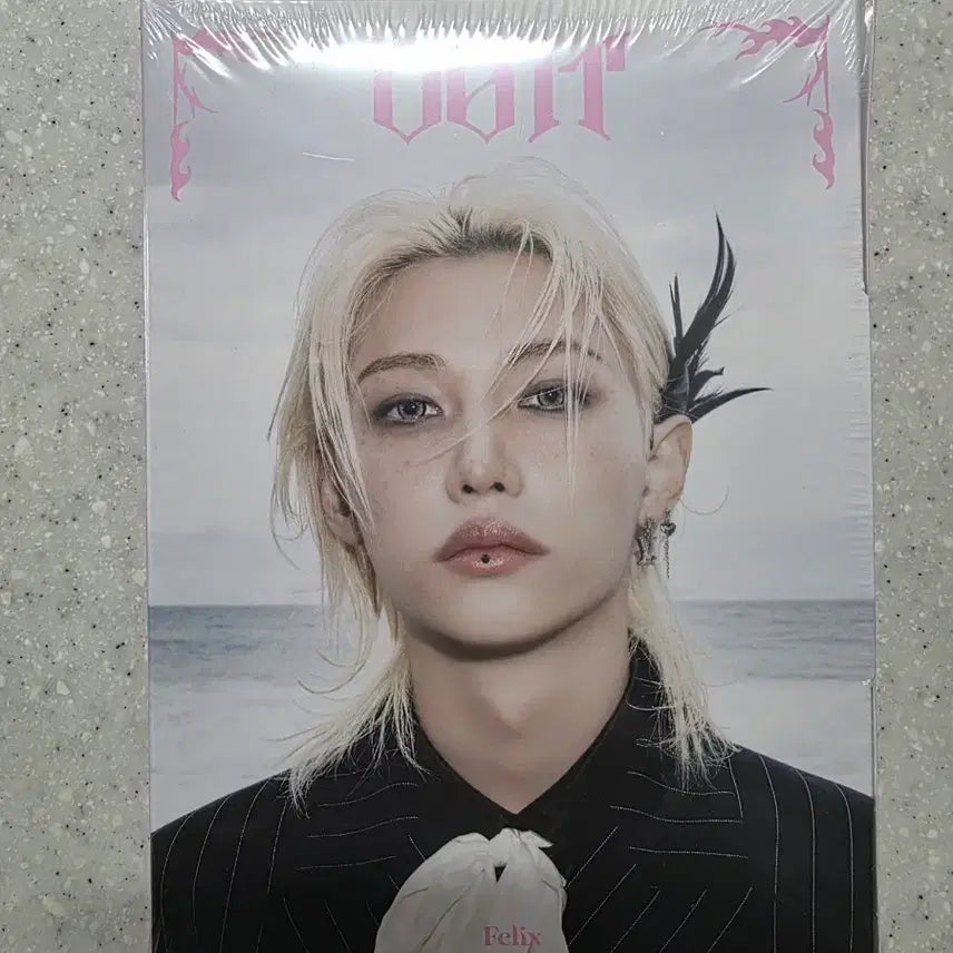 (새상품 미개봉) 스키즈 두잇 do it 아코디언 필릭스