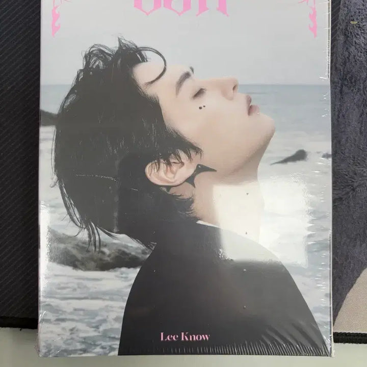 스키즈 두잇 아코디언 리노버전 미개봉,리노증사