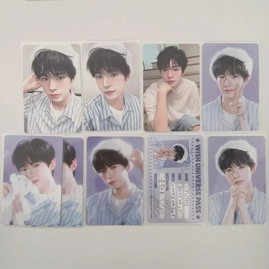 엔시티위시 유우시 시그 포카 일괄