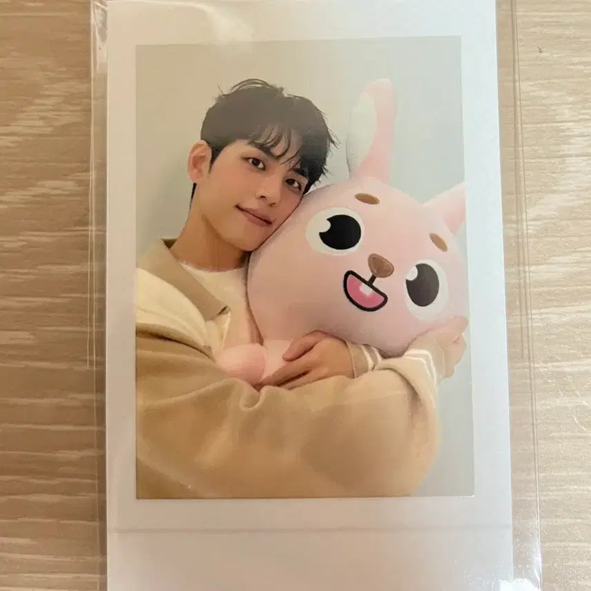 데이식스 원필 자데멀 폴라로이드