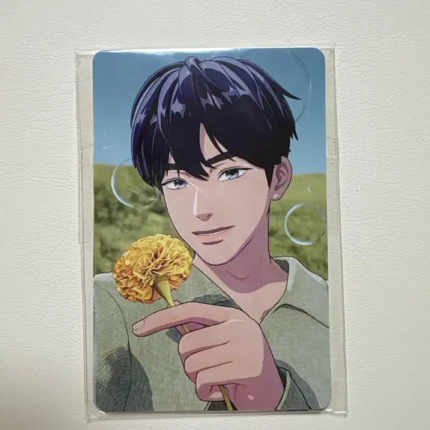 플레이브 메디힐 포카 미개봉 멤버일괄판매