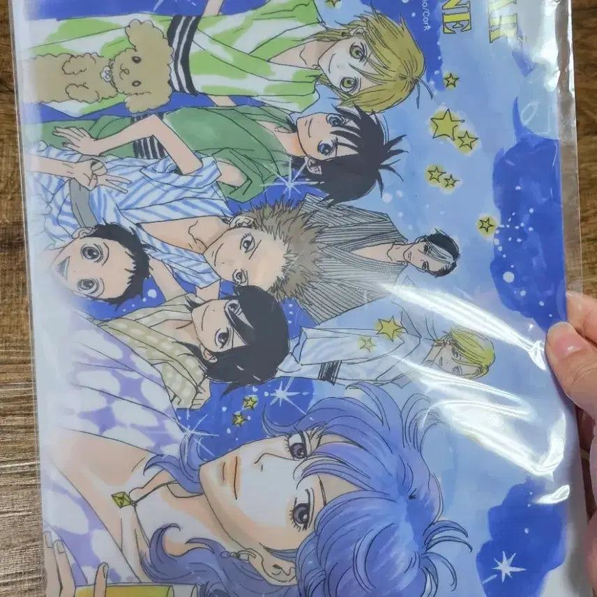 [BUNJANG] Sugar Sugar Rune Pierre & Robin Illustration File Set / 슈가슈가룬 피에르 로빈 및 일러스트 파일 4종 세트