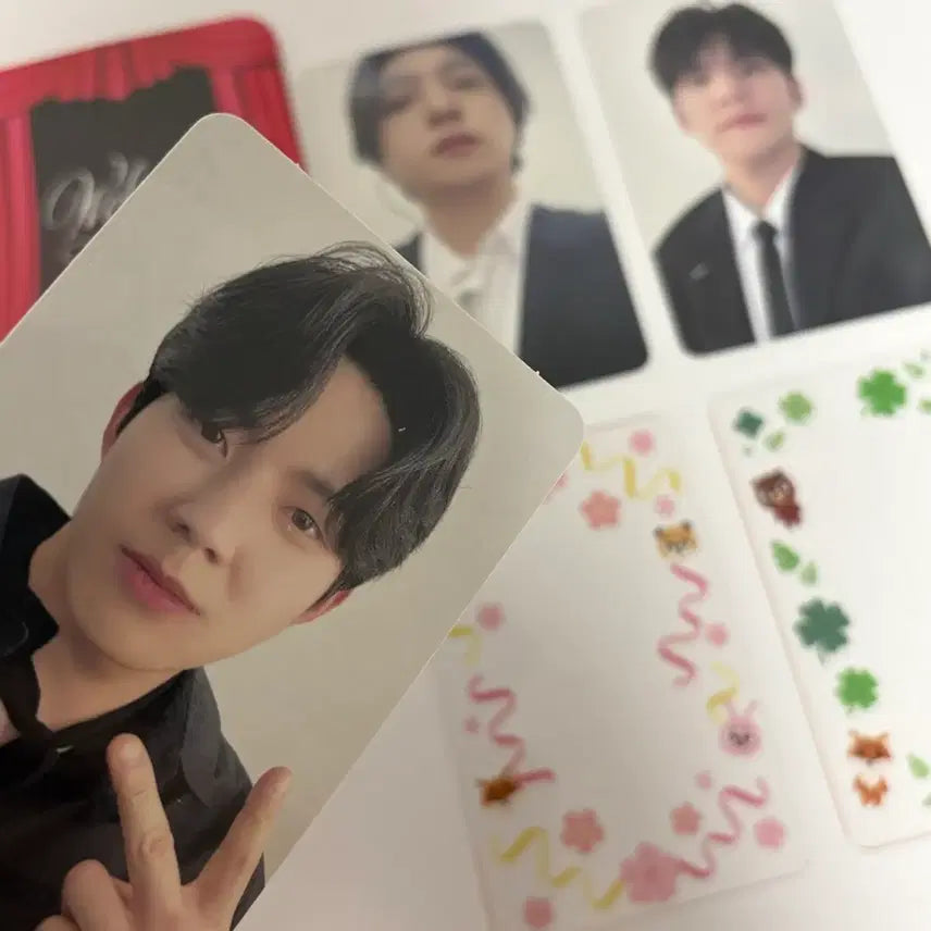 데이식스 웰쇼콘 벚꽃콘 중콘 입장포카 성진 원필 도운