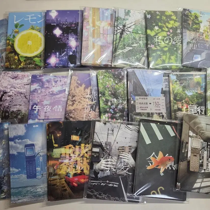 파도 바인더 대지 일괄