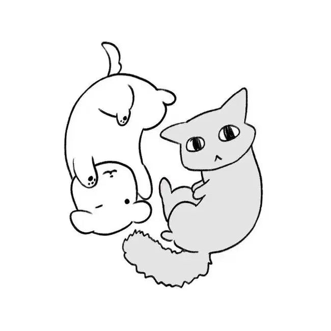 [BUNJANG] Nongdamgom Travel Pouch / 농담곰 반투명 여행 파우치