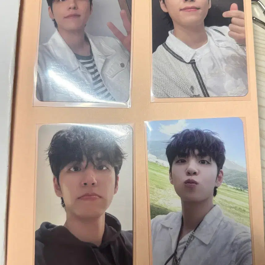 데이식스 원필 포카 일괄