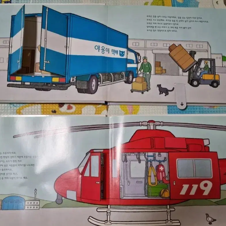 [BUNJANG] First Knowledge Picture Book Set / 첫지식그림책 유아책