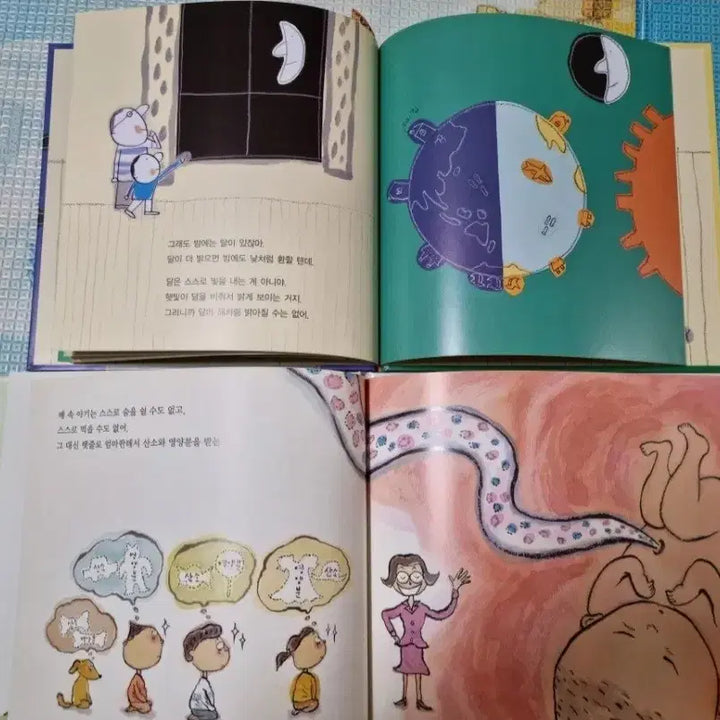 [BUNJANG] First Knowledge Picture Book Set / 첫지식그림책 유아책