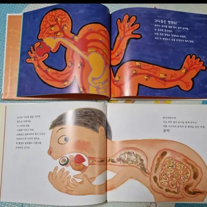 [BUNJANG] First Knowledge Picture Book Set / 첫지식그림책 유아책