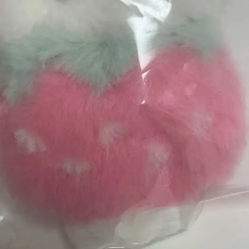 후르츠 베리냥 인형 키링 현진 니콜라스 포카 이치고냥 스트레이키즈 러피무