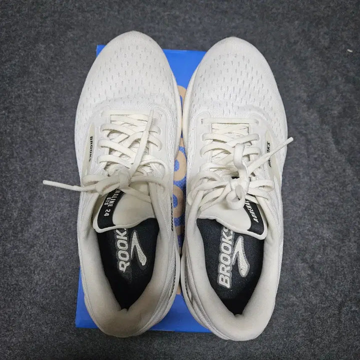 [SOLD OUT] 브룩스 아드레날린 gts24 코코넛 265 미디움 D
