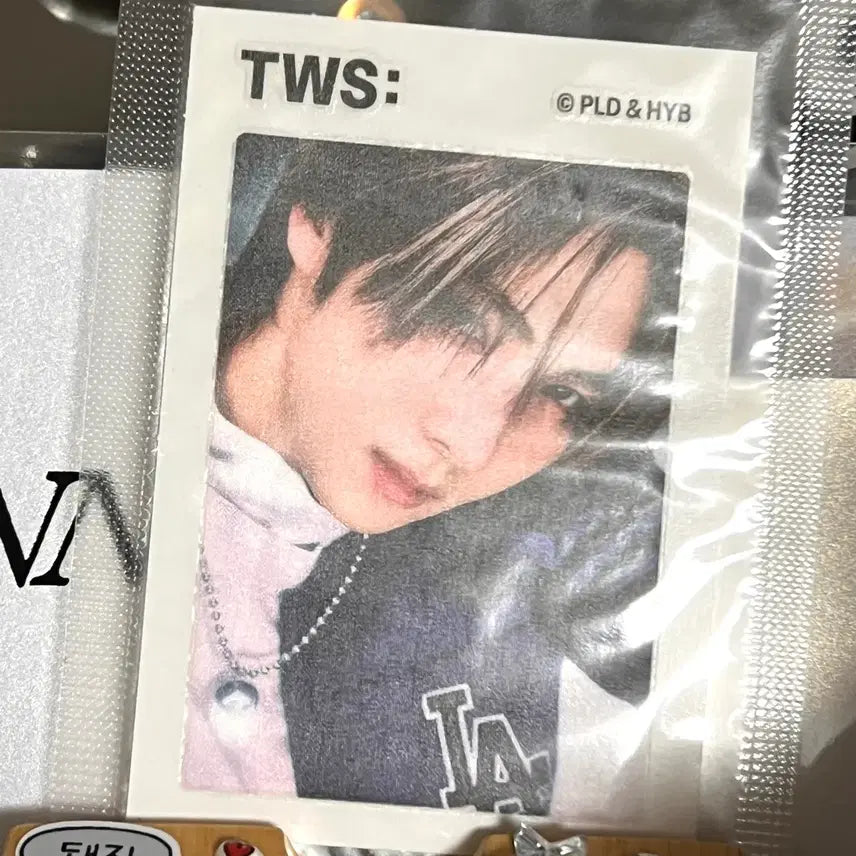 말랑카우 투어스 영재 씰 스티커