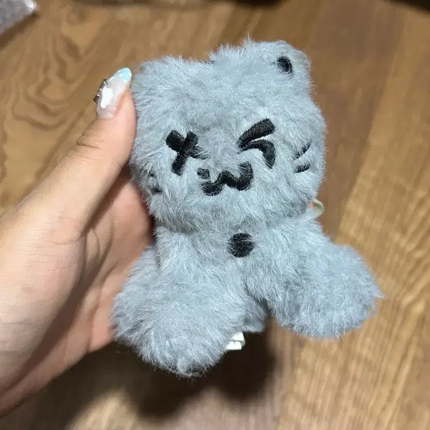 투어스 먼지투냥이 투냥이