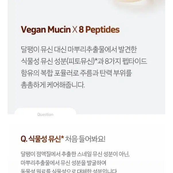 [BUNJANG] The Face Shop Peptide Wrinkle Serum (Sealed) / 더페이스샵 펩타이드주름세럼 미개봉 새제품