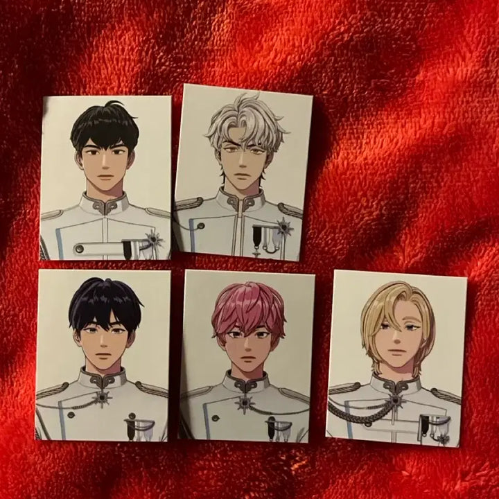 플레이브 2024 앙코르콘 ID 포토팩 판매