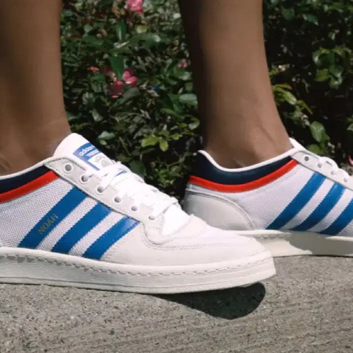 [BUNJANG] Adidas X Noah Probound White Bluebird Sneakers / 아디다스 X 노아 Probound 화이트 블루버드 / 260