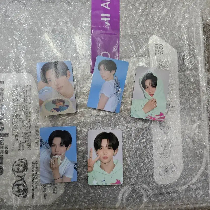 라이즈 시그 새상품 (쇼타로 특전포카 포함)