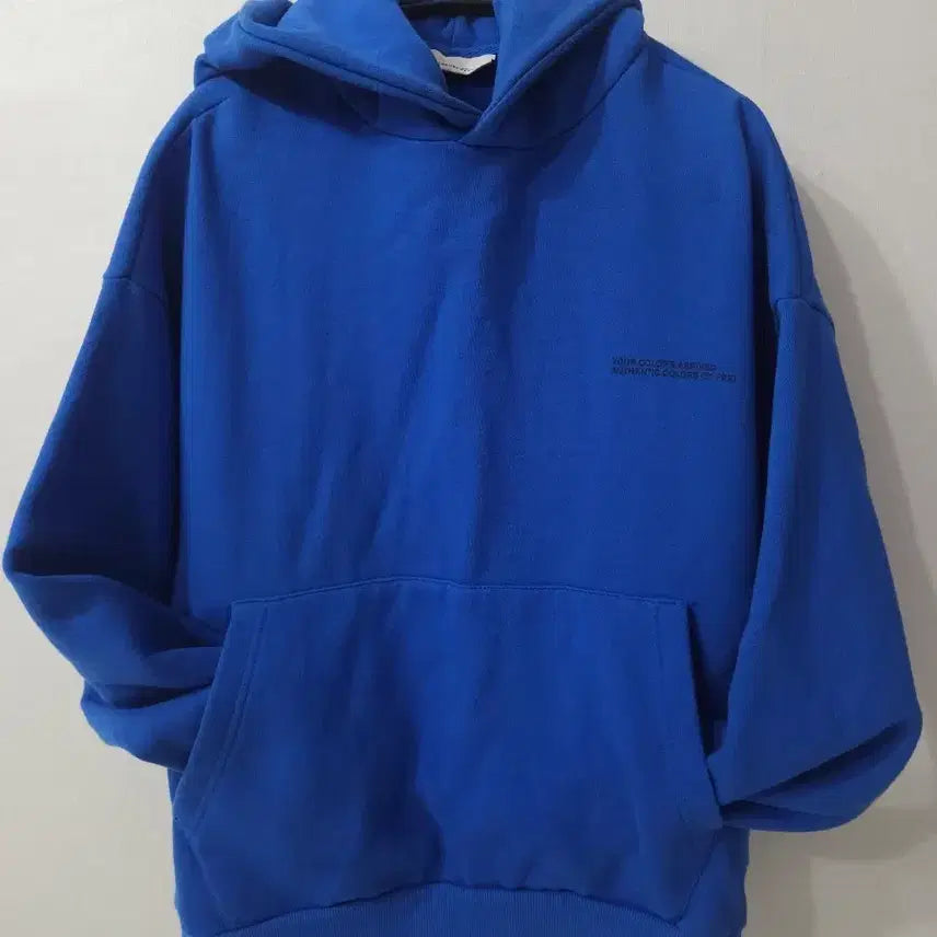 [BUNJANG] FREI Hoodie Blue S / 프라이 FREI 후드티 블루 S